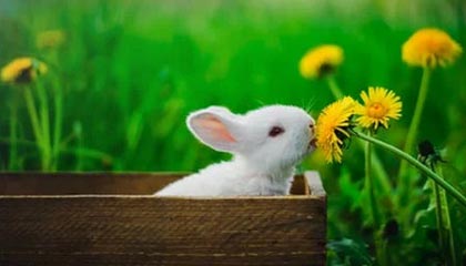 中国“空中航母”首飞成功！