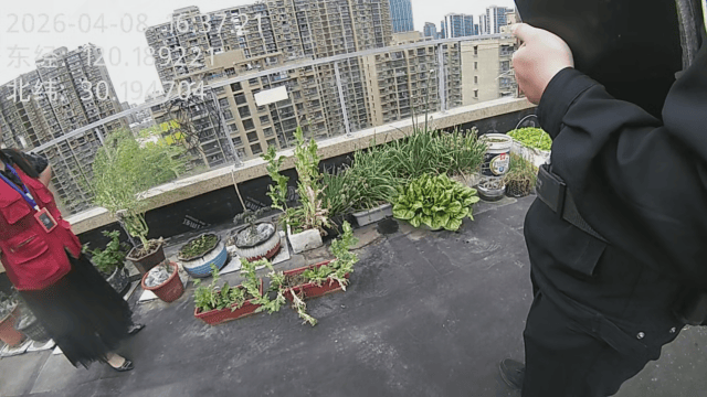 杭州一小区发现35株罂粟！保安巡逻起疑后报警，警方：2位老人在菜盆、花盆混种，隐蔽性极强，分别罚款300元、400元